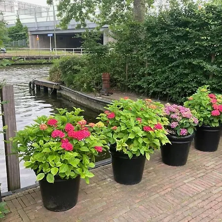 Tuinhuis Aan Het Water
